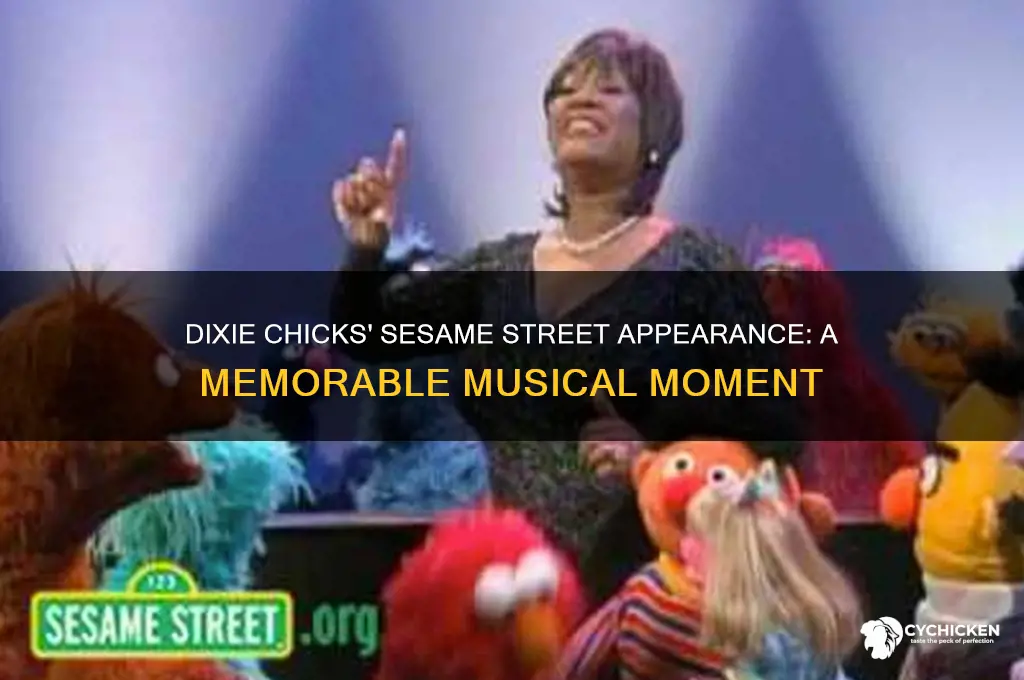 when were the dixie chicks on sesame street