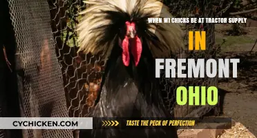 Tractor Supply: When to Find Chickens in Fremont, Ohio