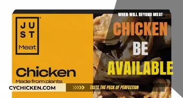 Beyond Meat Chicken Release Date: When Can You Try It?