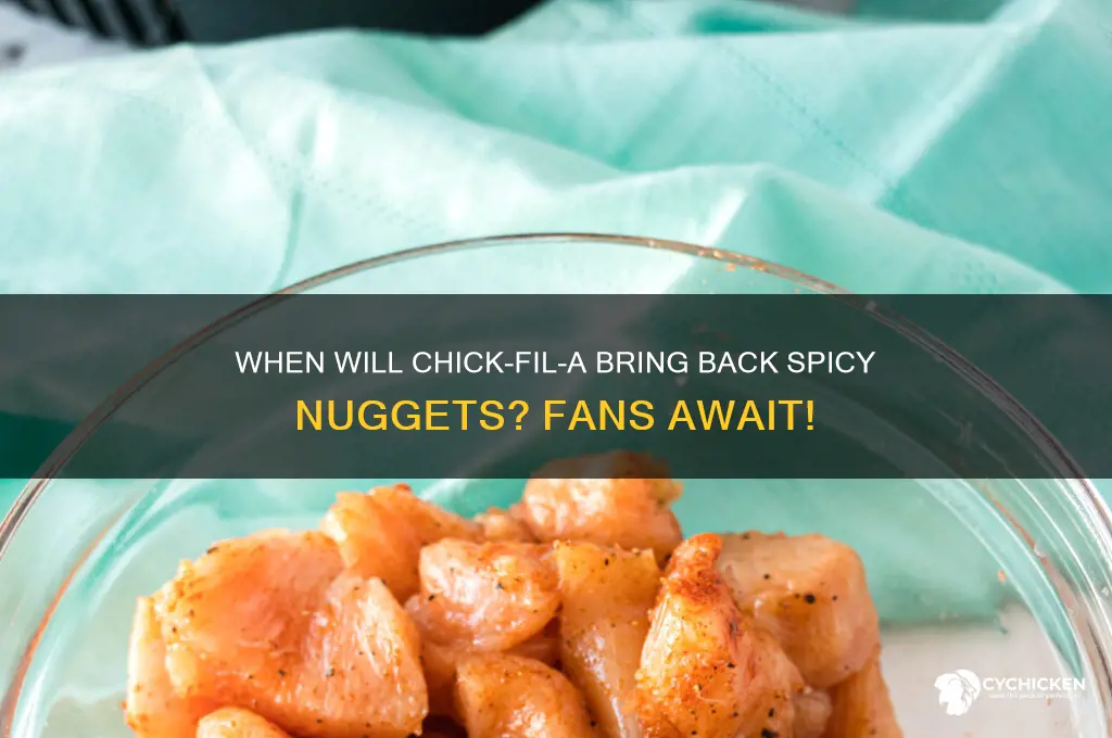 when will chick fil a have spicy nuggets