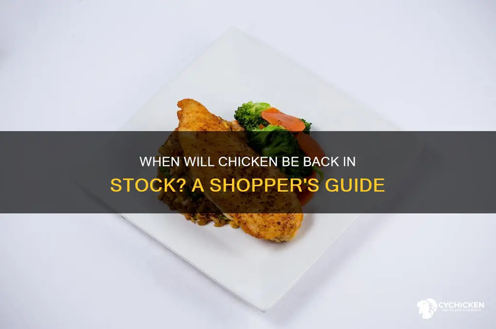 when will chicken be back in stock