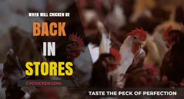 When Will Chicken Return to Stores? A Restocking Timeline
