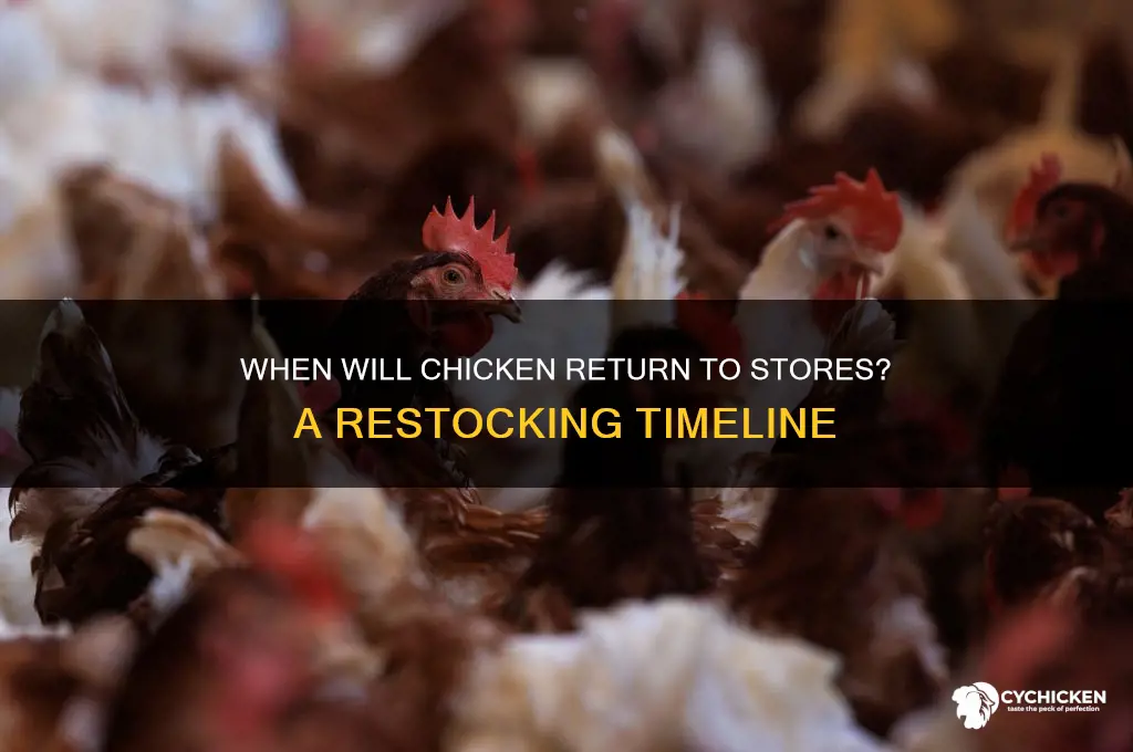 when will chicken be back in stores