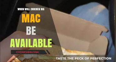When Can You Try the New Chicken Big Mac?