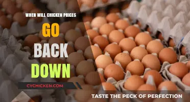 When Will Chicken Prices Drop Again? A Consumer's Guide