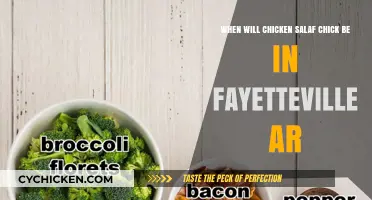 Chicken Salaf Chick: When Will It Reach Fayetteville, AR?