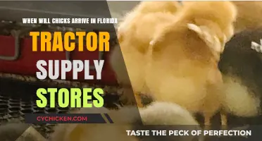 Florida Tractor Supply: Chick Arrival Dates