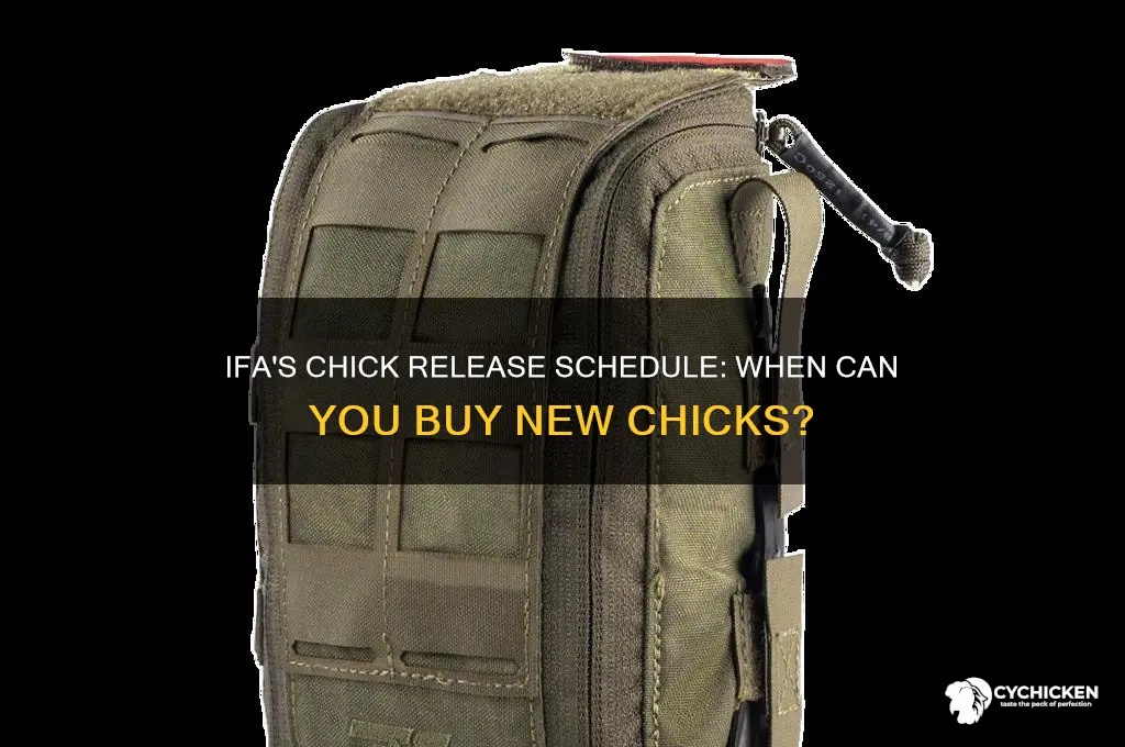 when will ifa bring out chicks to buy