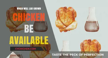Lab-Grown Chicken: When Will It Hit Grocery Store Shelves?