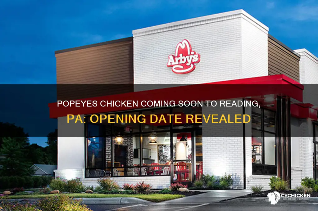 when will popeyes chicken open in reading pa