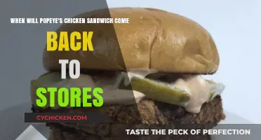 Popeye's Chicken Sandwich Return: Anticipated Comeback to Stores Soon?