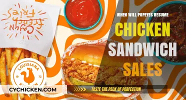 Popeyes Chicken Sandwich Return: Anticipated Comeback and Sales Resumption