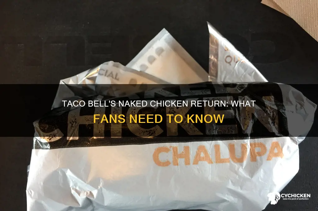 Taco Bell s Naked Chicken Return What Fans Need To Know CyChicken taco-bell-s-naked-chicken-return-what-fans-need-to-know-cychicken