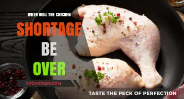When Will the Chicken Shortage End? Insights and Predictions
