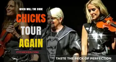 When Will the Dixie Chicks Tour Again? Latest Updates