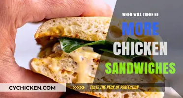 When Will the Chicken Sandwich Craze Bring More Options?