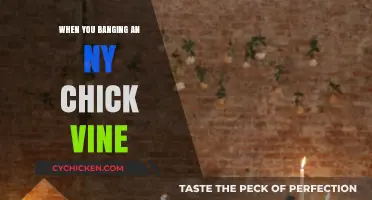 Banging an NY Chick Vine: Unfiltered Reactions and Hilarious Moments