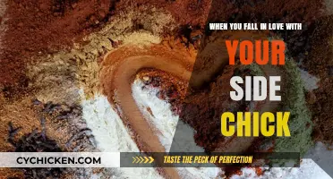 The Side Chick: When Love Interrupts