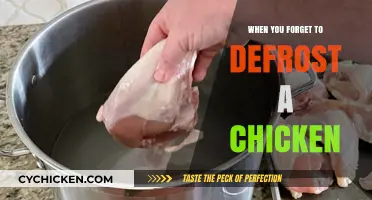 Quick Fixes: What to Do When You Forget to Defrost Chicken