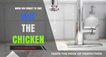 Forgot to Thaw the Chicken? Quick Fixes and Tips to Save Dinner
