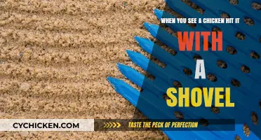 Shovel Solution: Chickens and the Art of Whacking