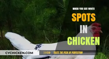 White Spots in Chicken: Causes, Safety, and What to Do