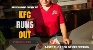 KFC Sold Out? Discover Tasty Chicken Alternatives to Satisfy Your Cravings