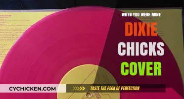 When You Were Mine: Dixie Chicks' Heartfelt Cover Revives Prince's Classic