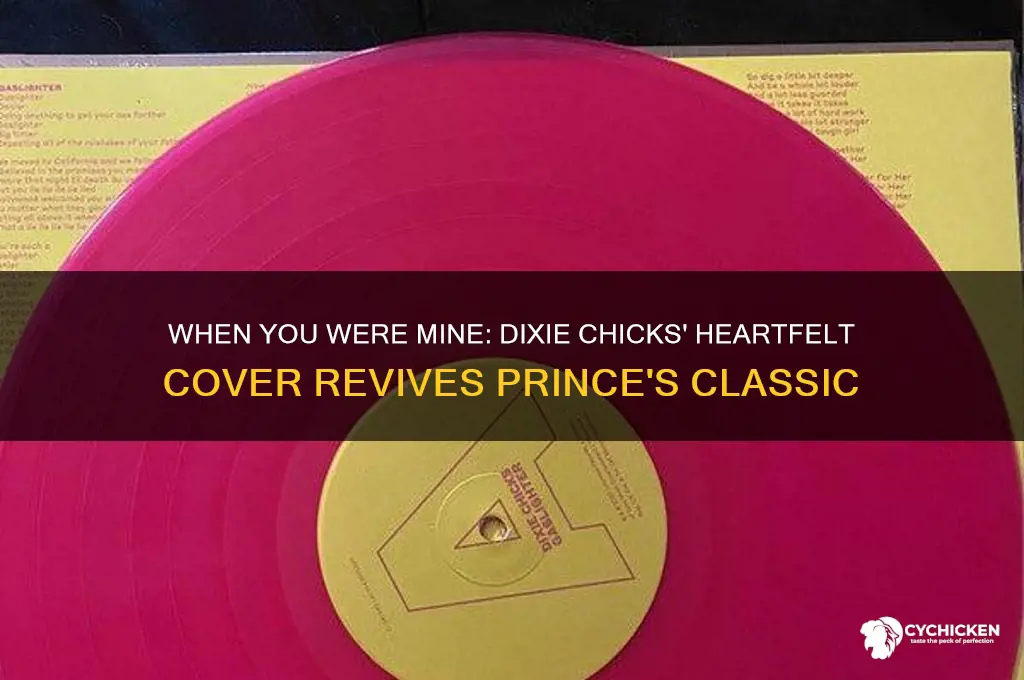 when you were mine dixie chicks cover