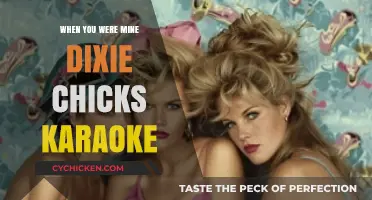 When You Were Mine: Dixie Chicks Karaoke Night Tips & Tricks