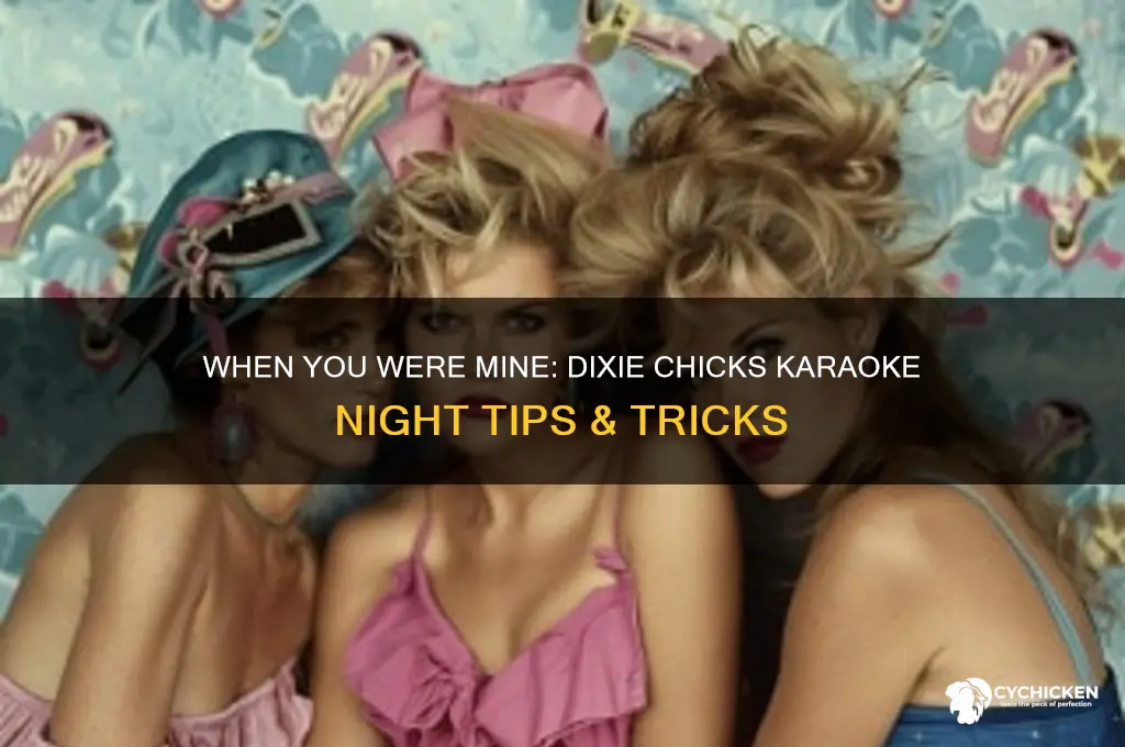 when you were mine dixie chicks karaoke