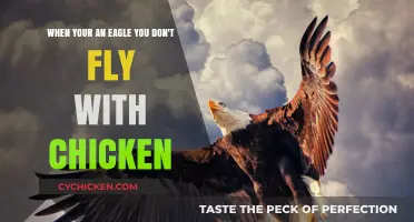 Soaring High: Eagles Avoid Chickens' Company