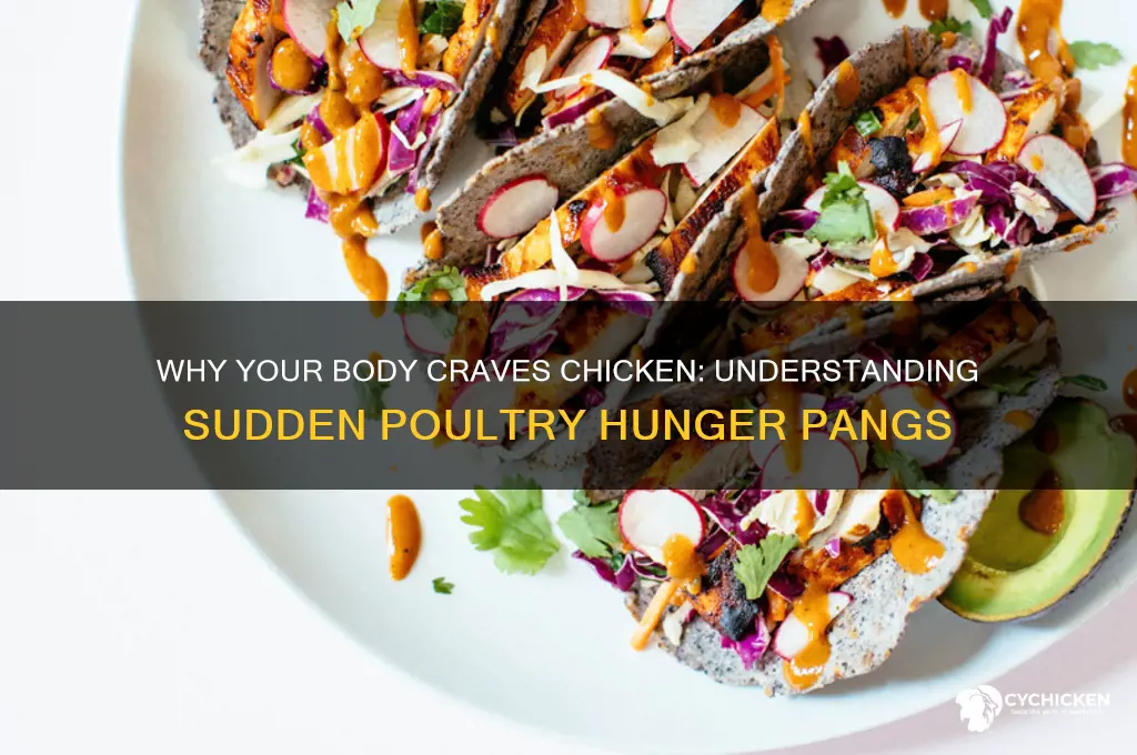 when your body craves a lot of chicken