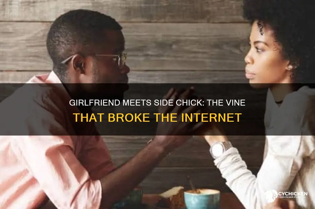 when your girlfriend meets your side chick vine