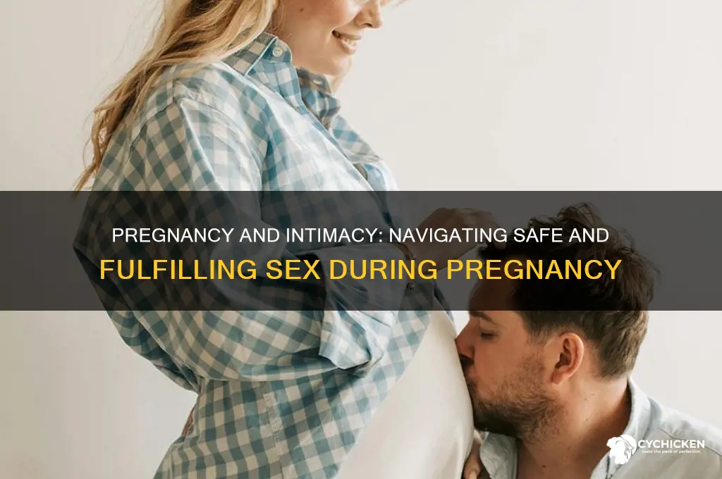 when your having sex with a pregnant chick