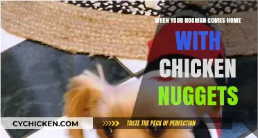 Tail-Wagging Joy: When Your Hooman Brings Home Chicken Nuggets
