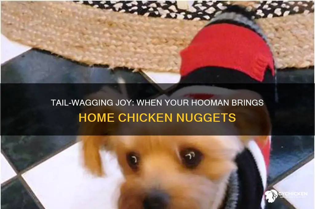 when your hooman comes home with chicken nuggets