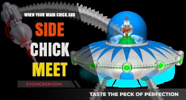 When Worlds Collide: Navigating the Chaos of Chick Encounters