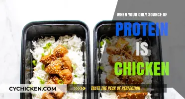 Chicken-Only Protein Diet: Benefits, Risks, and Creative Meal Ideas