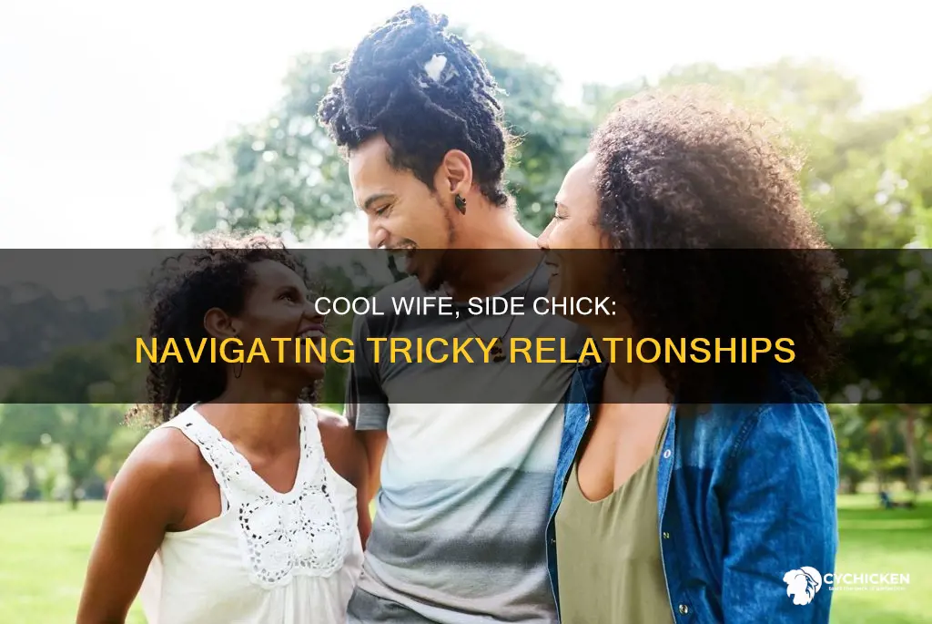 when your wife is cool with your side chick