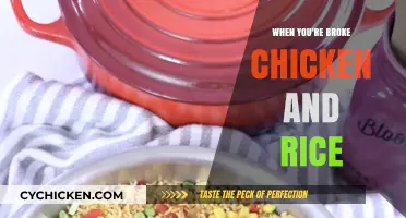 Budget-Friendly Chicken and Rice: Delicious Meals for When You're Broke