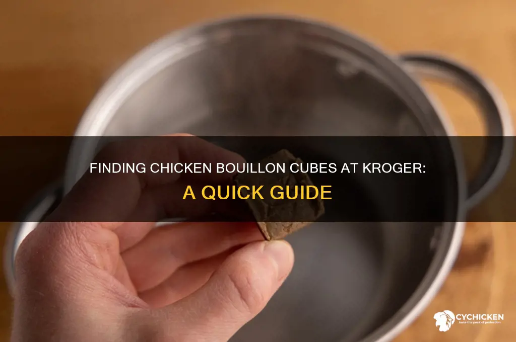 where are chicken bouillon cubes in kroger