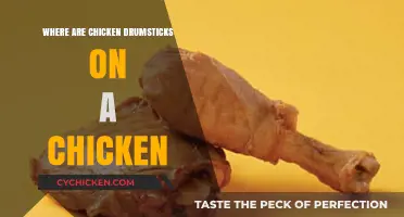 Understanding Chicken Anatomy: Locating the Drumsticks on a Chicken