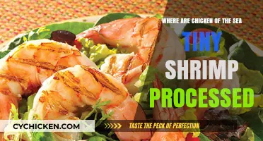 Chicken of the Sea: Tiny Shrimp Processing Secrets