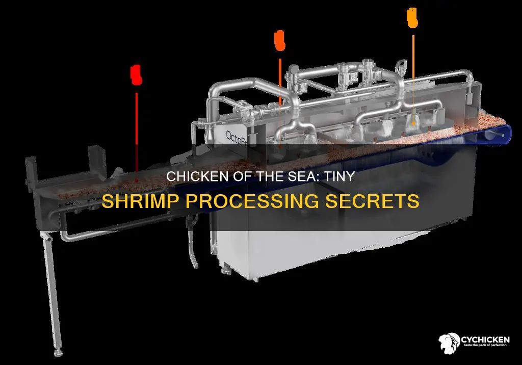 where are chicken of the sea tiny shrimp processed