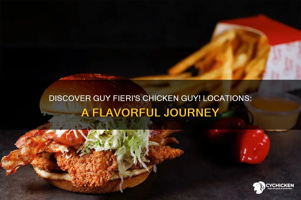 where are guy fieri