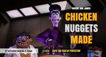 Where Are Jane's Chicken Nuggets Made? Uncovering the Production Location