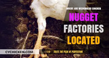 Unveiling McDonald's Chicken McNugget Factories: Global Locations Revealed