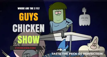 Where Are the 2 Fly Guys Chicken Show Now?