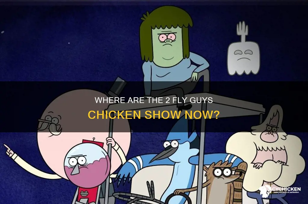where are the 2 fly guys chicken show